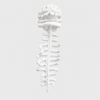 White / 120cm