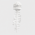 Dinosaur Skeleton Plush Costume