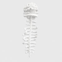 Dinosaur Skeleton Plush Costume