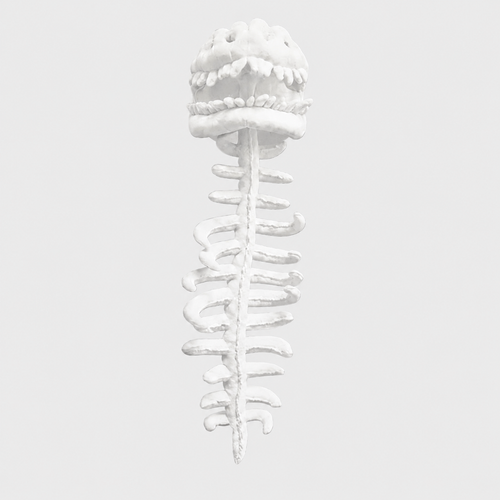Dinosaur Skeleton Plush Costume