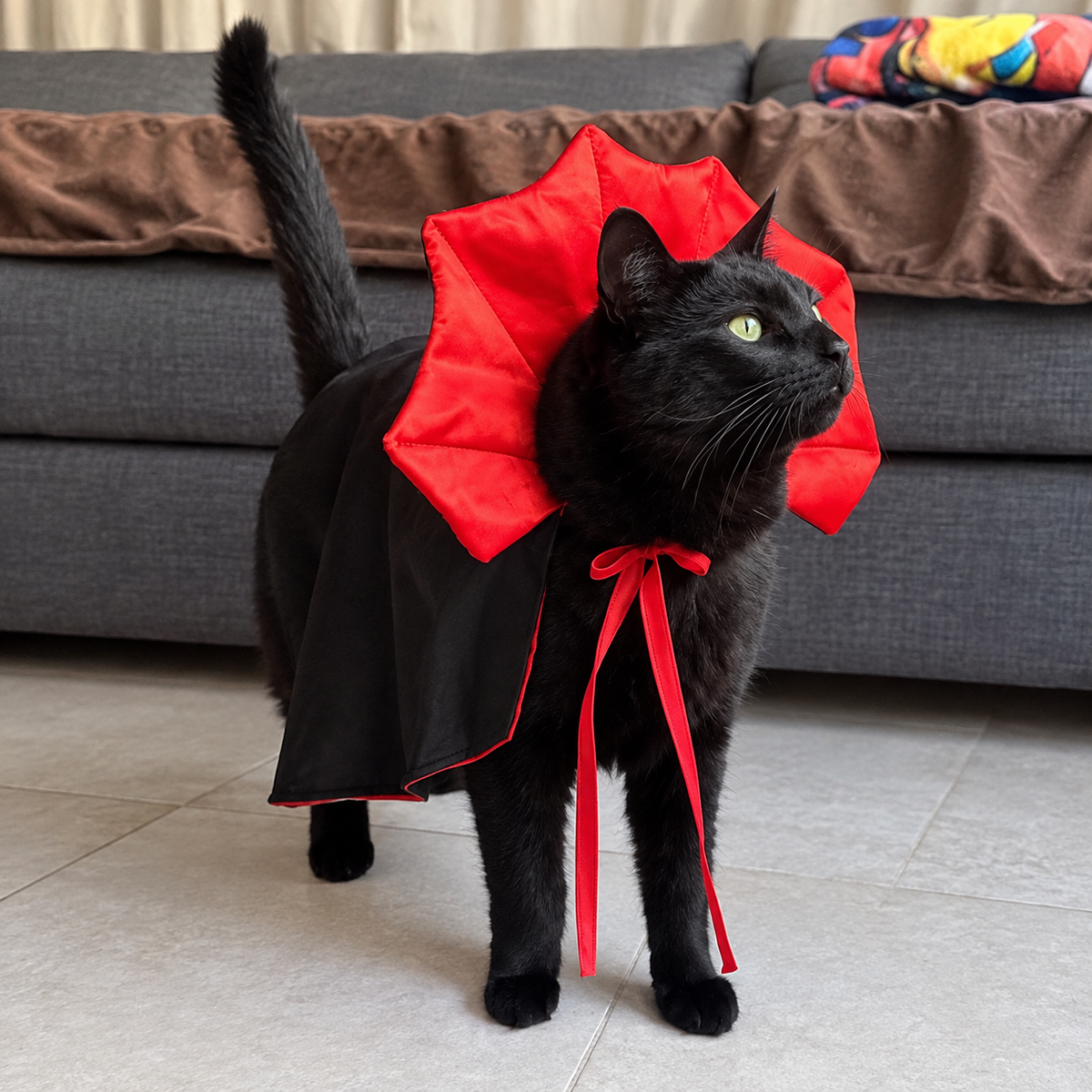 VampiPaws